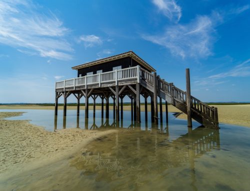 Ville d’hiver d’Arcachon : une destination de charme à visiter avec un taxi Bordeaux