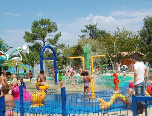 Une journée conviviale au Parc de la Coccinelle : accessible en taxi depuis Bordeaux